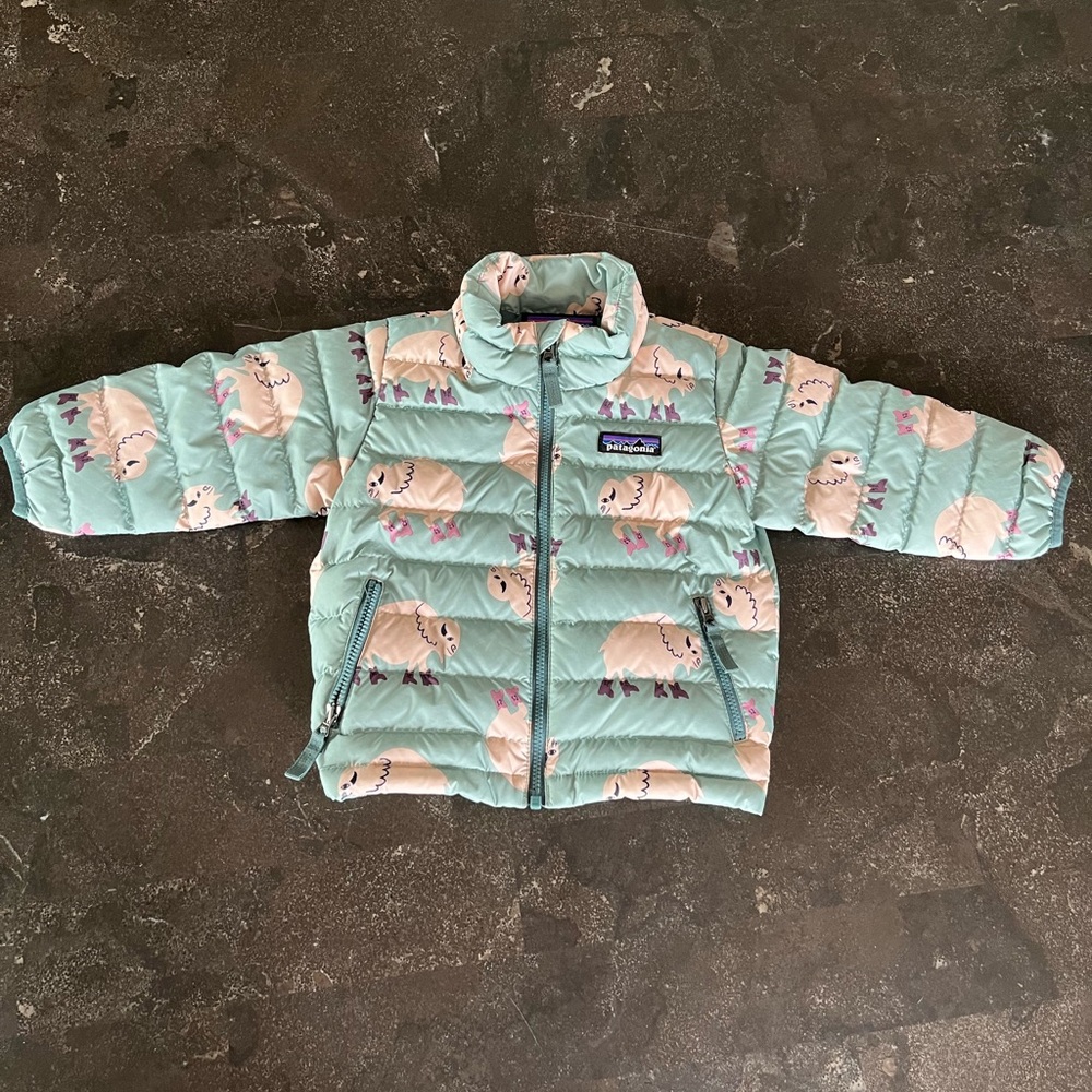 Patagonia baby down sweater jacket size 6-12 months